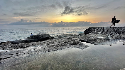 Curl Curl Removalists