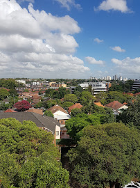 Ashfield Removalists